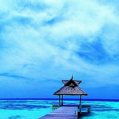 BET9官方APP下载正版手机app下载截图