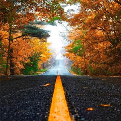 购彩中心welcome官网下载手机版